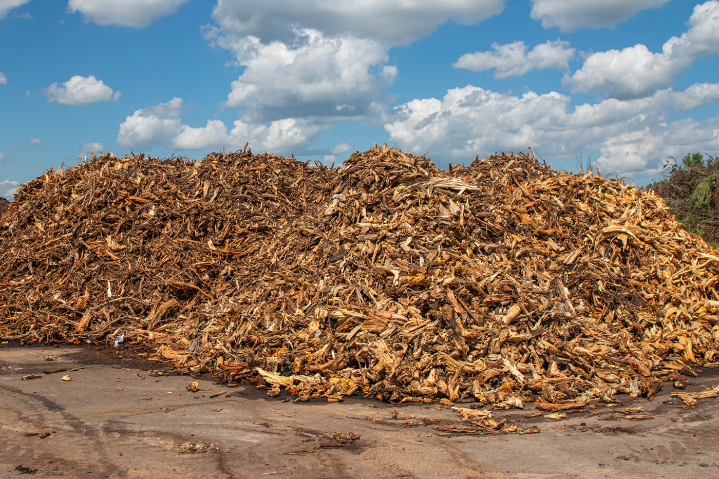 shutterstock_1766909345_biomass-combution