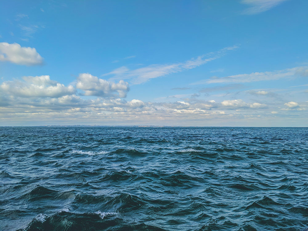 sea-goal