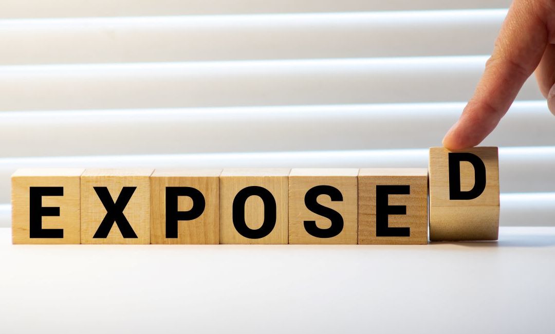 ESIG Human Exposure Database updated in 2024